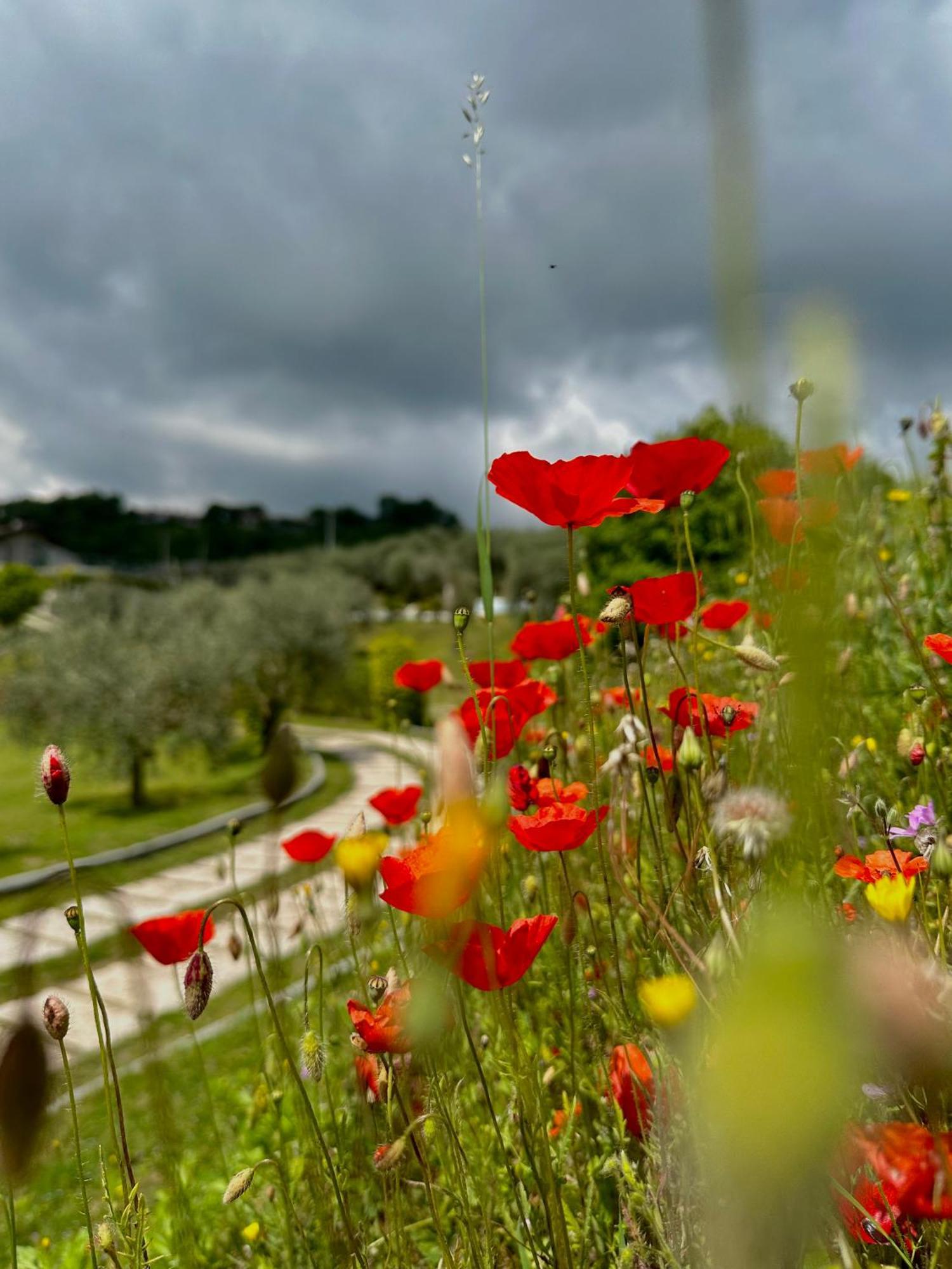 Holiday Home Sovenigo Puegnago Exteriér fotografie